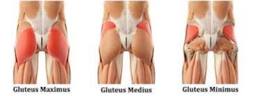 Sciatic Pain Relief - Mike Gillis RMT - Moncton Massage Therapy